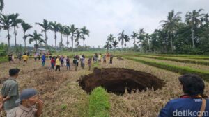 Lubang Raksasa Muncul di Sawah Warga Sumbar Usai Terdengar Suara Ledakan