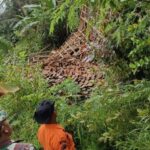 Tanah Bergerak di Sukamakmur Bogor: 60 Keluarga Terdampak, Pemkab Kaji Relokasi Warga