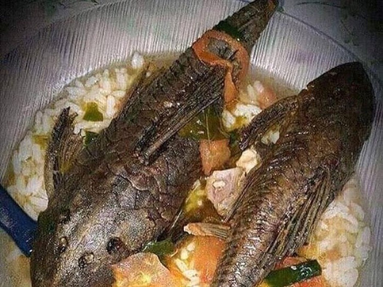 Pemprov DKI Jakarta Ingatkan Bahaya Konsumsi Ikan Sapu-Sapu dari Kali Tercemar