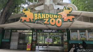 Kemenhut Cabut Izin Konservasi Bandung Zoo, Satwa Diselamatkan dari Persoalan Administratif