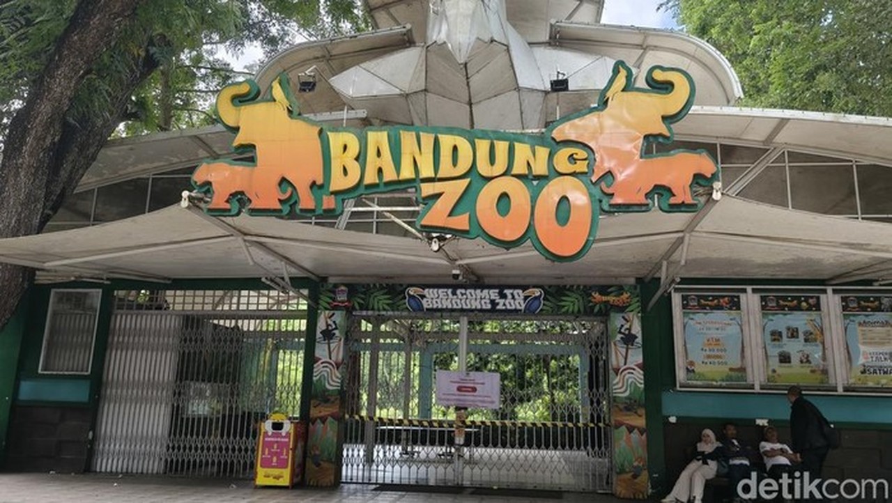 Kemenhut Cabut Izin Konservasi Bandung Zoo, Satwa Diselamatkan dari Persoalan Administratif