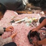 Polisi Pastikan Cacahan Uang di TPS Bekasi adalah Uang Asli Milik Bank Indonesia