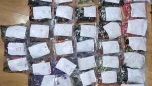 Polisi Ungkap Peredaran Vape Berisi Narkoba Etomidate di Apartemen Kalibata
