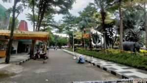 Kejati Jatim Geledah Kebun Binatang Surabaya, Usut Dugaan Korupsi Pengelolaan Keuangan 2013-2024