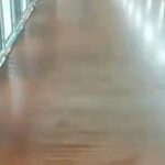 Skywalk Kebayoran Bersih dari Kotoran Kucing Berkat Petugas Kebersihan yang Siaga