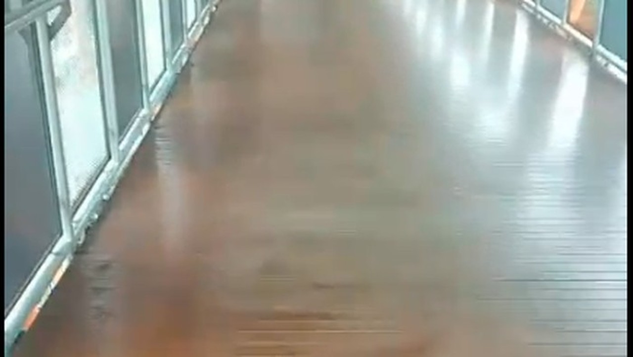 Skywalk Kebayoran Bersih dari Kotoran Kucing Berkat Petugas Kebersihan yang Siaga