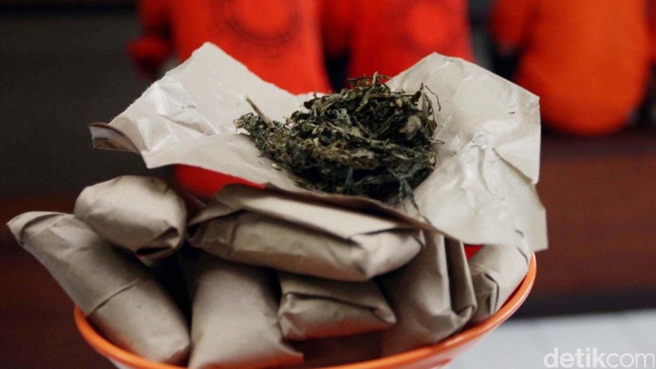 Polres Serang Ungkap Jaringan Bandar Ganja Lintas Provinsi, Sita 14 Kg Barang Bukti