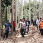 Gajah Sumatera Ditemukan Tanpa Kepala dan Gading, Polda Riau Usut Perburuan Liar