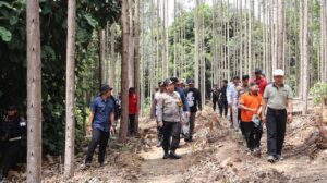 Gajah Sumatera Ditemukan Tanpa Kepala dan Gading, Polda Riau Usut Perburuan Liar
