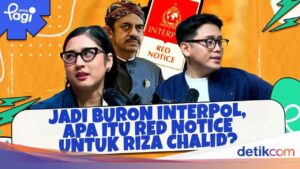 Buron Interpol, Apa Itu Red Notice yang Diterbitkan untuk Riza Chalid?