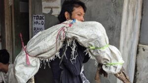 Pria Pemanggul Karung di Jakbar Viral Dikira Bawa Mayat, Ternyata Berisi Biawak Hidup