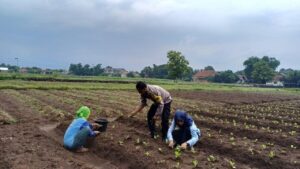 Aiptu Suwendi, Sang Penggerak Kemandirian Pangan Warga Desa Megu Gede Cirebon