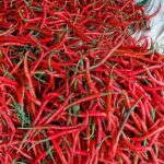 Jelang Ramadan, Pemprov DKI Waspadai Lonjakan Harga Minyak Goreng dan Cabai