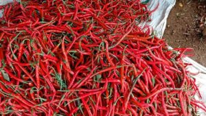 Jelang Ramadan, Pemprov DKI Waspadai Lonjakan Harga Minyak Goreng dan Cabai