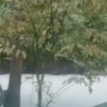 Wali Kota Tangsel Imbau Warga Lapor Jika Sumur Tercemar Akibat Kebakaran Pabrik Pestisida