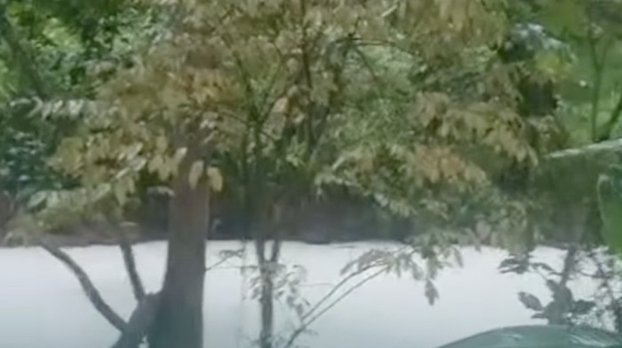 Kebakaran Pabrik Pestisida di Tangsel Berujung Tercemarnya Sungai dan Gangguan Pasokan Air