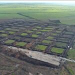 KKP Mulai Pembangunan Kawasan Tambak Udang Terintegrasi Rp 7,2 Triliun di Sumba Timur