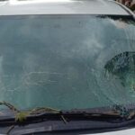 Pohon Besar Tumbang di TB Simatupang, Timpa Mobil Honda HR-V hingga Kaca Pecah