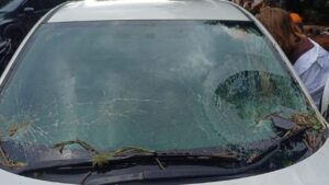 Pohon Besar Tumbang di TB Simatupang, Timpa Mobil Honda HR-V hingga Kaca Pecah