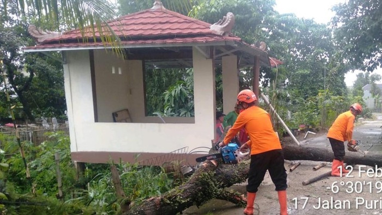 Pohon Tumbang Akibat Hujan Angin di Cibinong Bogor, 3 Rumah Warga Rusak
