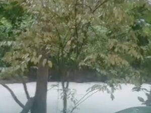 20 Ton Pestisida Cemari Sungai Cisadane, Warga Dilarang Konsumsi Ikan Lokal