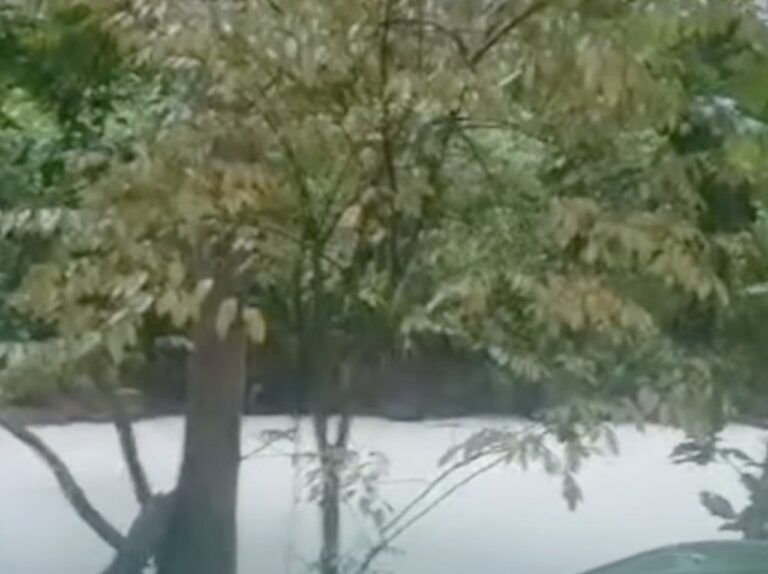 20 Ton Pestisida Cemari Sungai Cisadane, Warga Dilarang Konsumsi Ikan Lokal