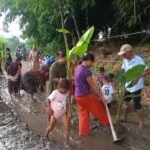 Aksi Unik Warga Lebak Tanam Pohon Pisang dan Padi di Jalan Rusak sebagai Bentuk Protes