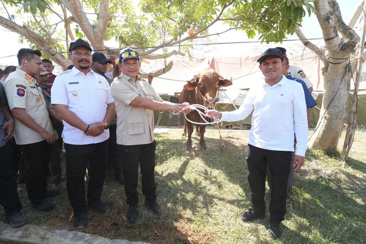 Presiden Prabowo Sumbang 1.455 Sapi untuk Warga Aceh Sambut Ramadan