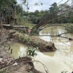 Warga Bekasi Ceritakan Momen Longsor di Hutan Bambu Akibat Pengosongan Debit Air Kali