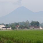 Gunung Semeru Erupsi Lagi, Luncurkan Awan Panas Guguran Sejauh 6 Km ke Tenggara