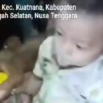 Ayah di NTT Cekoki Bayi 11 Bulan dengan Miras Sopi, Motifnya Demi Lucu-lucuan