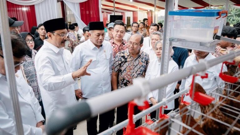 Kemensos Berdayakan KPM Melalui Bantuan Ayam Petelur, Targetkan Kemandirian Ekonomi