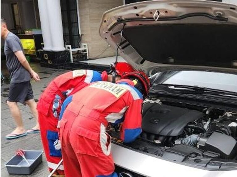 Sanca Albino Milik Warga Jaktim Hilang, Ditemukan Bersembunyi di Kap Mobil Sanca Albino Milik Warga Jaktim Hilang, Ditemukan Bersembunyi di Kap Mobil