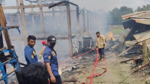 Kandang Ayam di Boyolali Ludes Terbakar, 10 Ribu Ekor Anak Ayam Mati Terpanggang