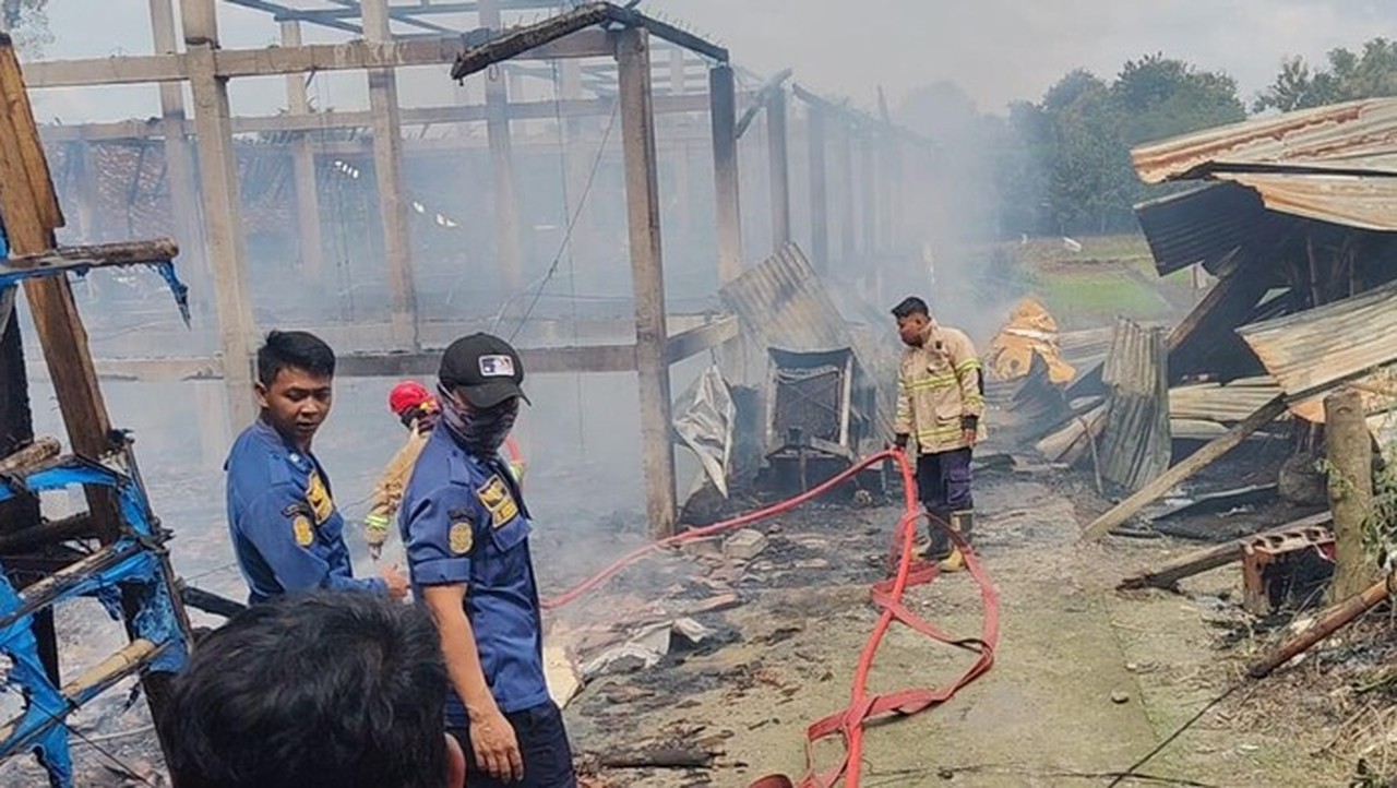Kandang Ayam di Boyolali Ludes Terbakar, 10 Ribu Ekor Anak Ayam Mati Terpanggang