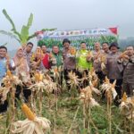Polisi Panen 1 Ton Jagung di Bogor, Dukung Program Ketahanan Pangan Presiden Prabowo