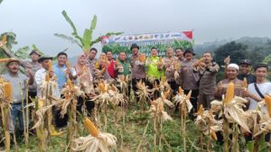 Polisi Panen 1 Ton Jagung di Bogor, Dukung Program Ketahanan Pangan Presiden Prabowo