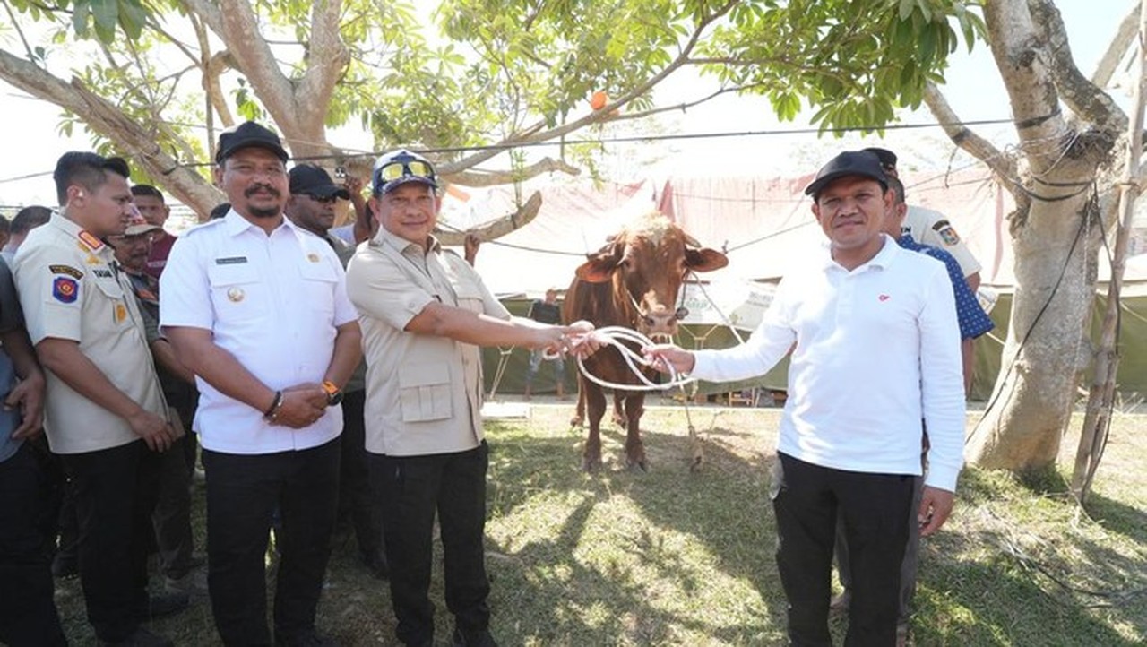 Prabowo Salurkan Bantuan Sapi Rp 72 M untuk Korban Bencana Aceh, Dibagikan Hari Ini