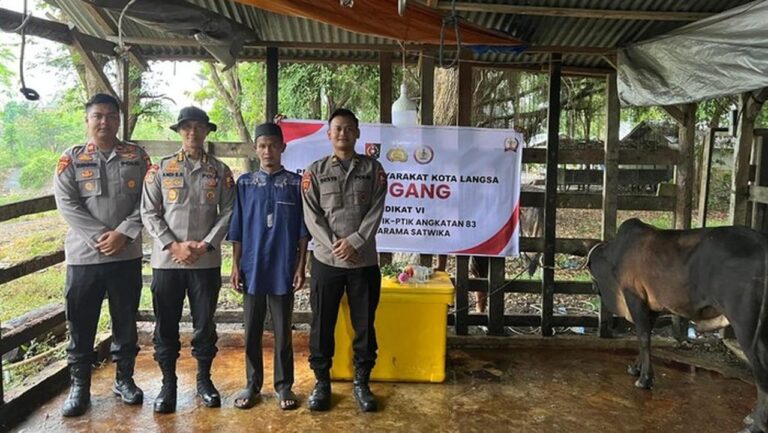 Mahasiswa STIK Sumbang 70 Sapi untuk Tradisi Meugang di Aceh Pasca Bencana Mahasiswa STIK Sumbang 70 Sapi untuk Tradisi Meugang di Aceh Pasca Bencana