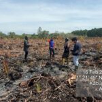 Dalih Bakar Sarang Tawon, Pria di Bengkalis Ditangkap Terkait Kebakaran Lahan 3 Hektare