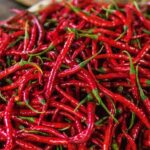 Gubernur DKI Jakarta Siapkan Strategi Atasi Lonjakan Harga Cabai Akibat Cuaca Buruk