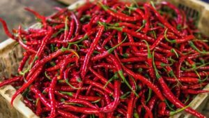 Gubernur DKI Jakarta Siapkan Strategi Atasi Lonjakan Harga Cabai Akibat Cuaca Buruk