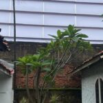 Warga Cilandak Keluhkan Bising Lapangan Padel Tembus ke Kamar Tidur