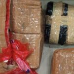 Polda Metro Jaya Sita 1,3 Kg Ganja dari Pengedar Narkoba di Bekasi