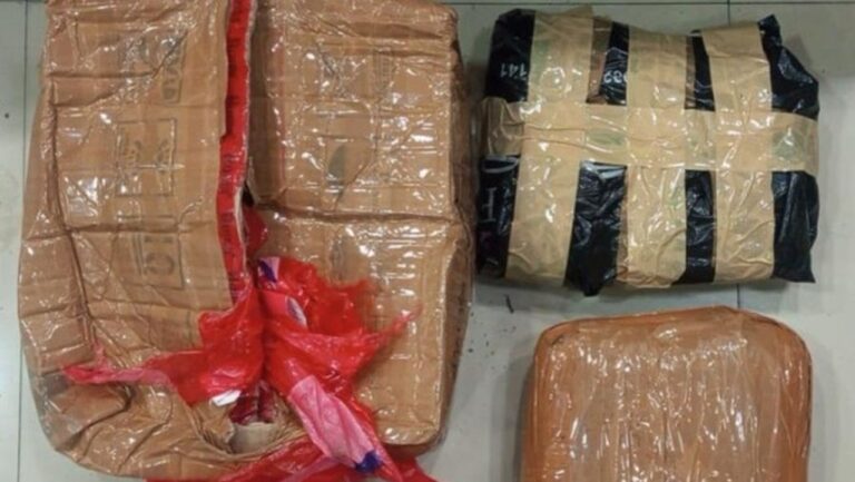 Polda Metro Jaya Sita 1,3 Kg Ganja dari Pengedar Narkoba di Bekasi