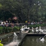 Jadwal Lengkap Taman Margasatwa Ragunan Selama Ramadan 2026, Ada Penutupan Wahana Khusus
