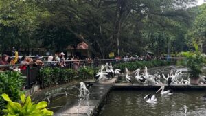 Jadwal Lengkap Taman Margasatwa Ragunan Selama Ramadan 2026, Ada Penutupan Wahana Khusus