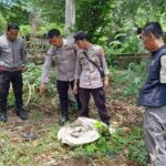 Santriwati di Mamuju Ditangkap Polisi Setelah Buang Bayi di Kebun Ponpes