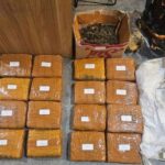 Polisi Sita 18 Kg Ganja dari Pengedar di Jakarta Barat