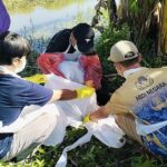 Kawanan Anjing Liar Serang Kakak-Adik di Polman, Warga Sempat Mengira Bangkai